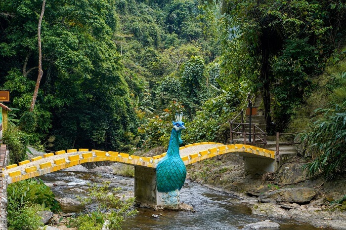 Bảy cây cầu bắc qua sông Ngân
