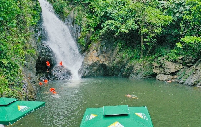 Hệ thống rừng nguyên sinh
