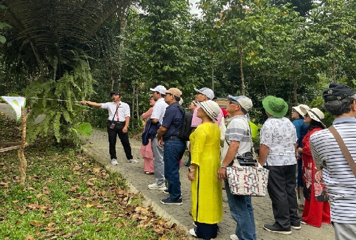 Hệ thống rừng nguyên sinh