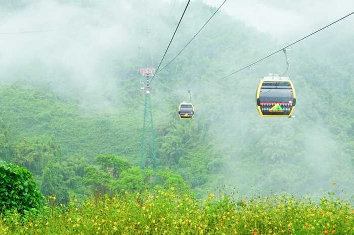 Cáp treo lên đỉnh Bảo Lâm