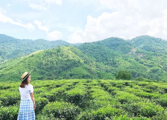 đồi chè Đông Giang