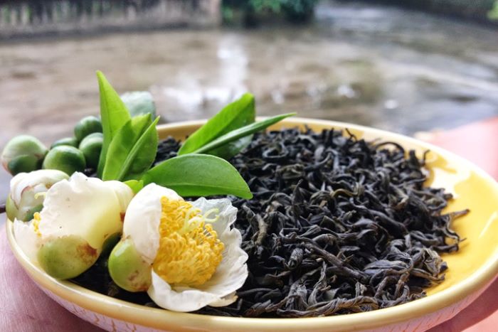 đồi chè Đông Giang