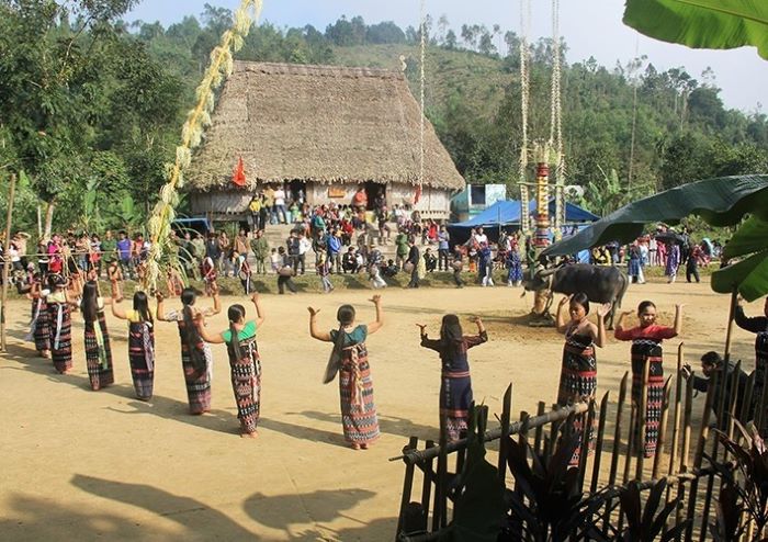 đồi chè Đông Giang