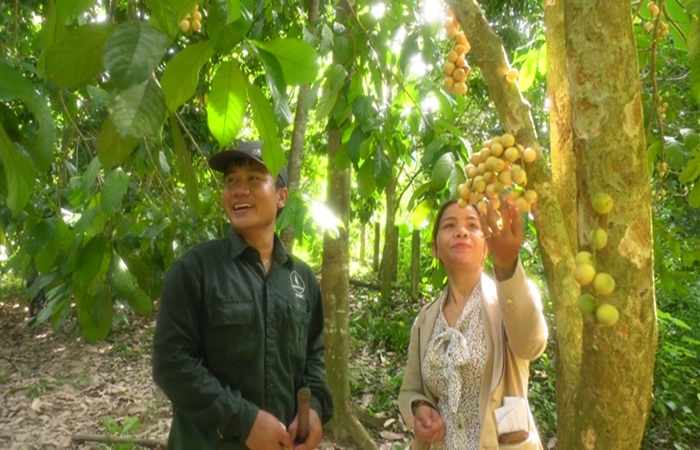 Công viên rừng Bòn Bon