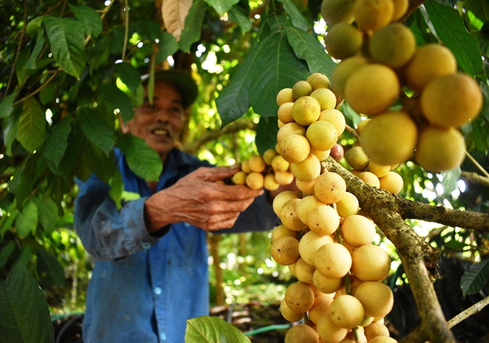 Công viên rừng Bòn Bon