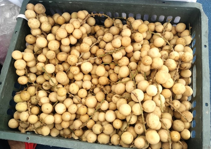 Công viên rừng Bòn Bon