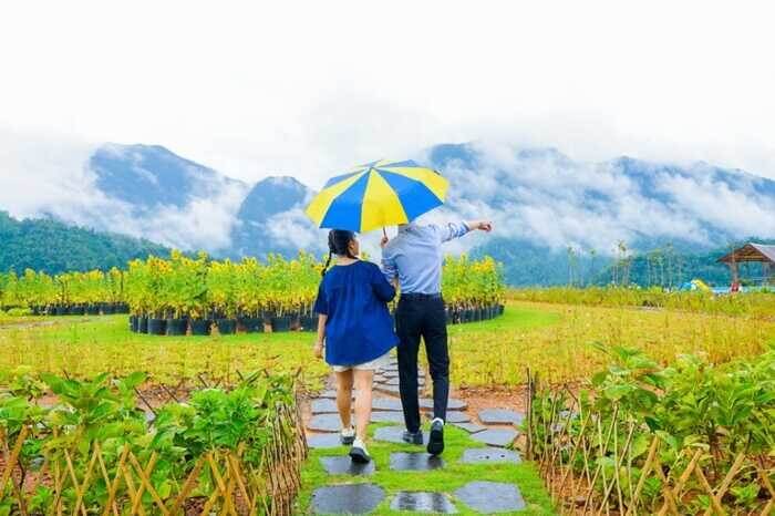 Cáp treo Cổng Trời Đông Giang